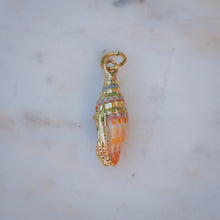 Load image into Gallery viewer, Conch Shell Charm