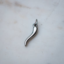 Load image into Gallery viewer, Horn Charm