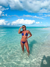 Load image into Gallery viewer, Royal Palm & Sea Grape THALASSOPHILE Bottoms