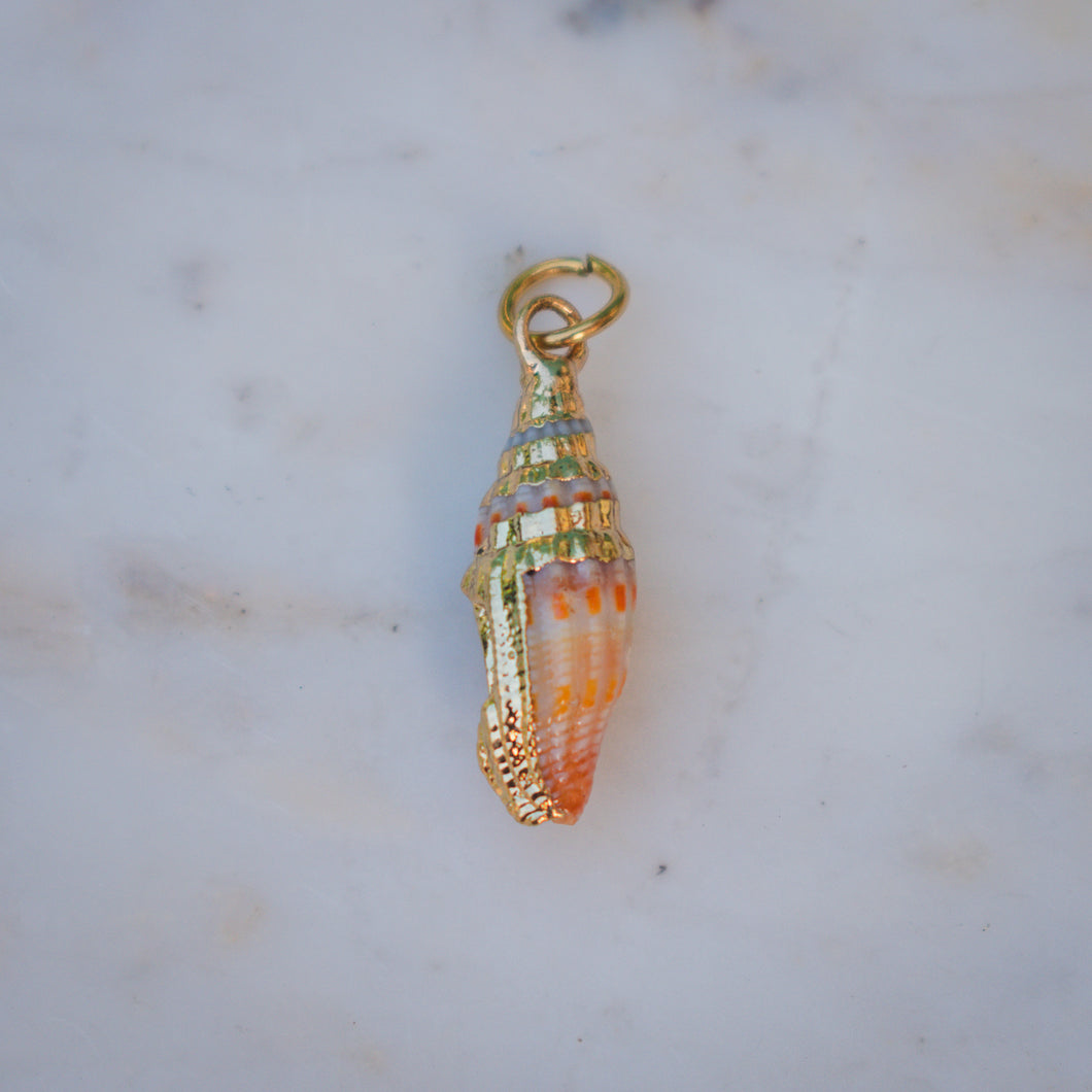 Conch Shell Charm