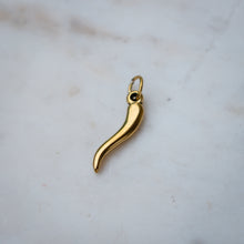 Load image into Gallery viewer, Horn Charm
